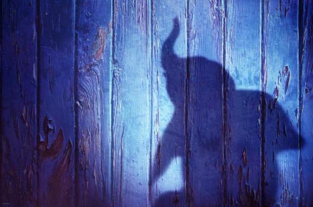 Фільм розповість про літаюче циркове слоненя