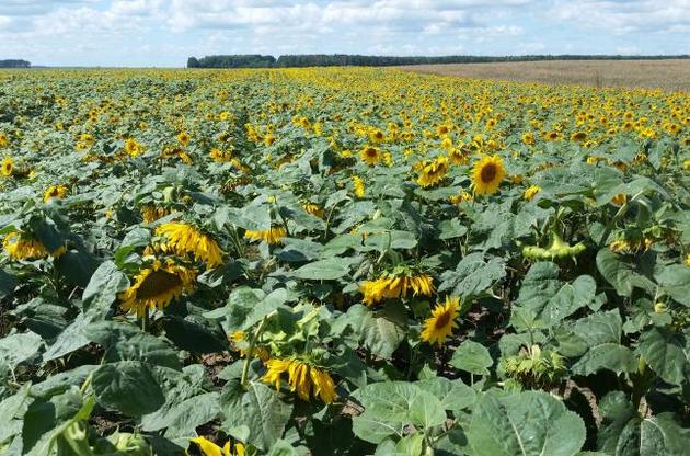 У найближчі дні короткочасний дощ можливий лише місцями