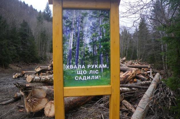 Тайни реформування "лісових відносин" в Україні