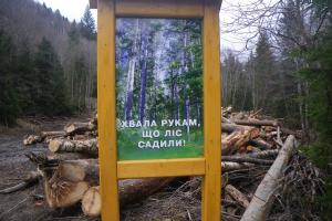 Тайны реформирования "лесных отношений" в Украине