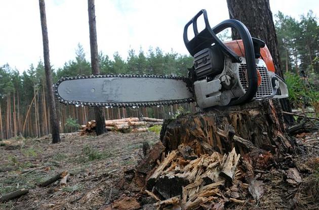 Порошенко ветировал закон о древесине из-за нормы о запрете экспорта дров