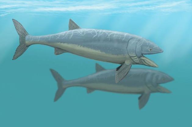 Вчені визначили швидкість плавання найбільших кісткових риб в історії