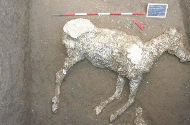 Археологи обнаружили в Помпеях древние конюшни и "мумию" лошади