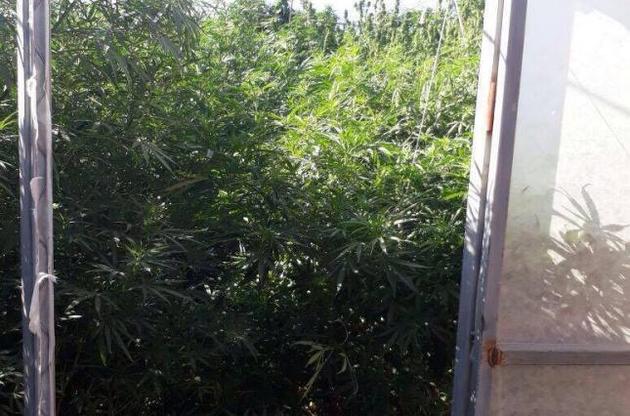 Каннабис в Канаде больше не под запретом