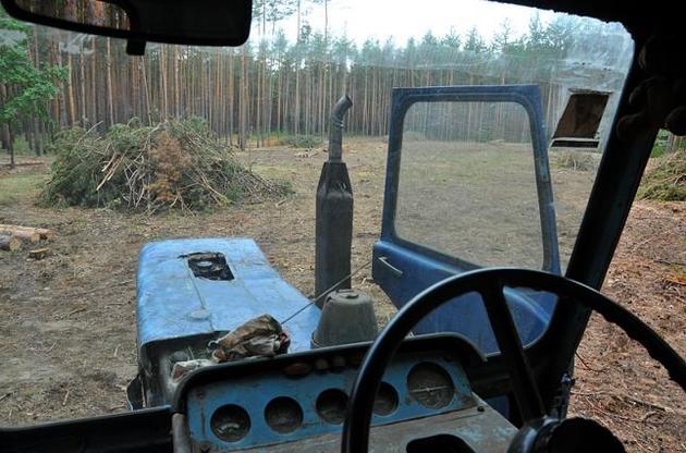 Зняття заборони на експорт дров недостатньо - вважають у посольстві.