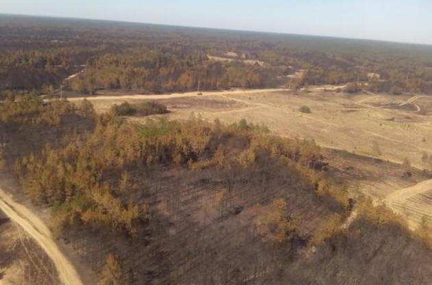 Вигоріли величезні території унікального лісу