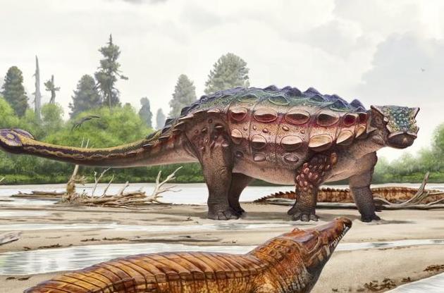 Вчені відкрили новий вид динозаврів