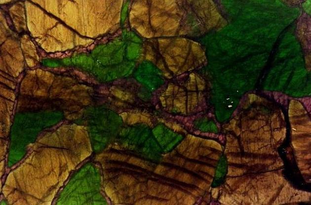 Масове вимирання 252 стало наслідком масштабного вулканічного виверження