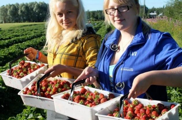 Дев'ять мільйонів українців їздять на сезонні роботи за кордон