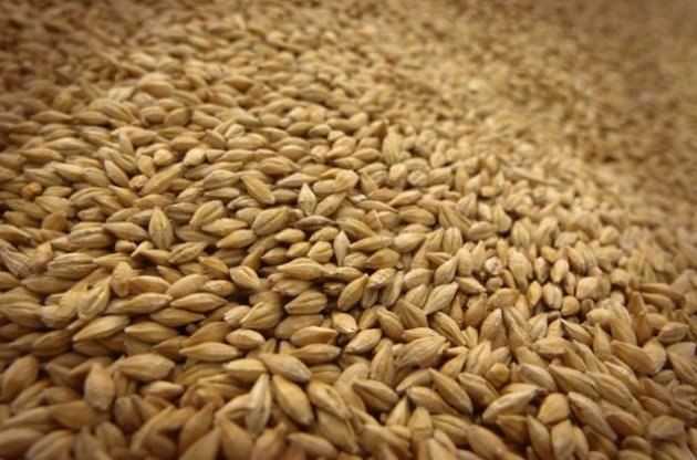 Экспорт зерна из Украины составил 39 млн тонн