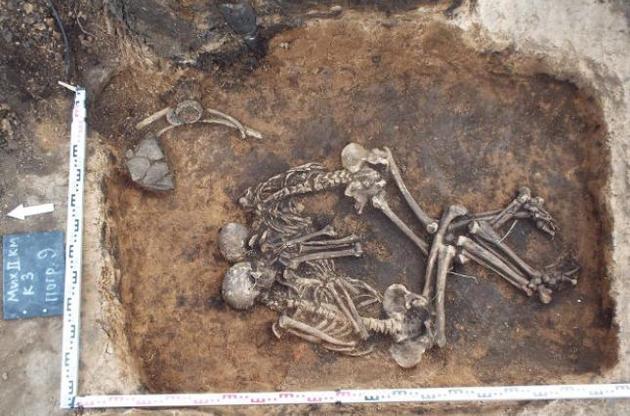 Возраст чумной палочки оценивается в 3,8 тысячи лет