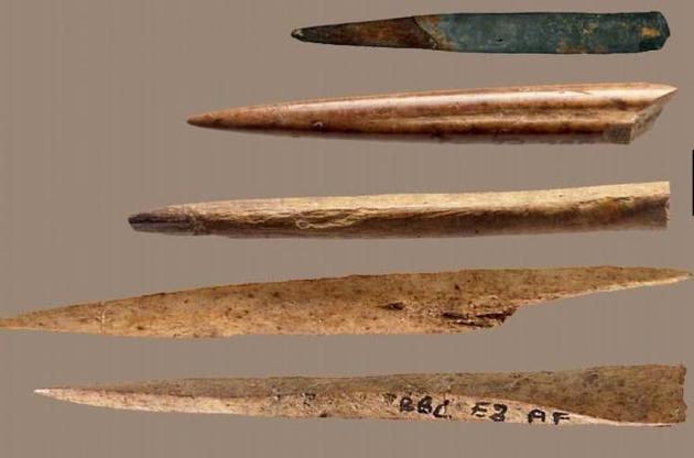 Стародавні люди виготовляли знаряддя з кісток не всіх тварин