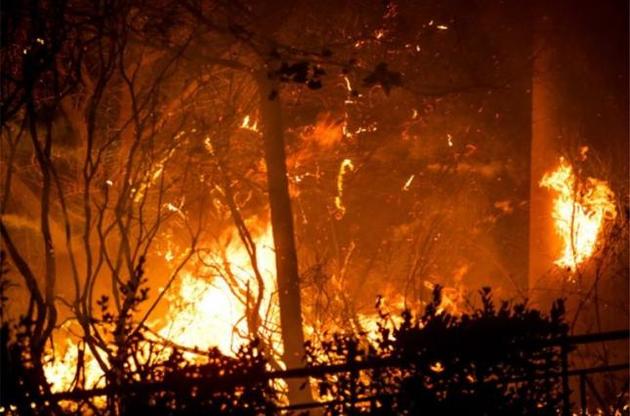 Причиной гигантских пожаров у Афин  могут быть намеренные поджоги - МВД Греции
