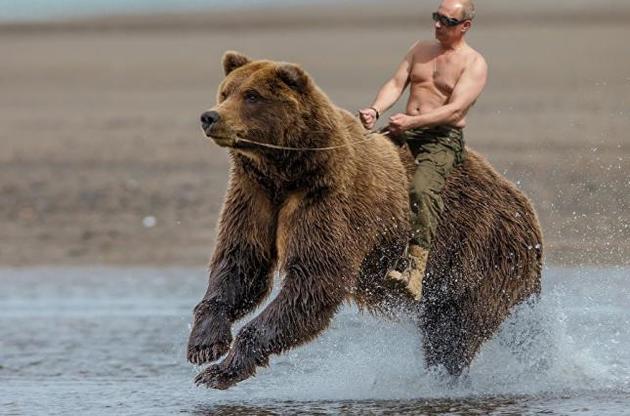 "Даже медведи уважают Путина": пропагандист запустил прославляющую президента России передачу