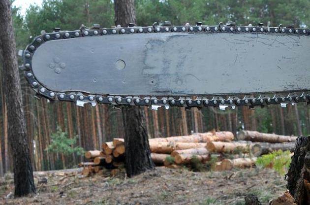 У країни ЄС вивезено 660 тис. тонн української деревини - ГФС