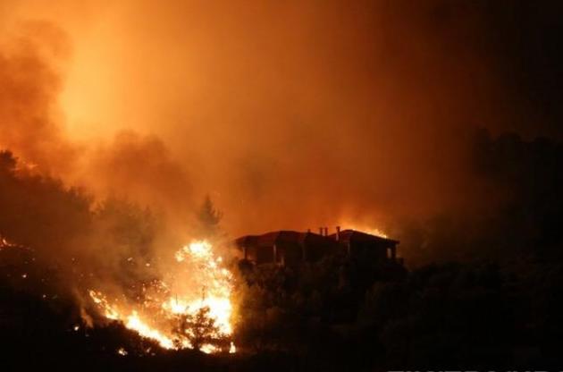 Количество жертв лесных пожаров в Греции увеличилось до 49