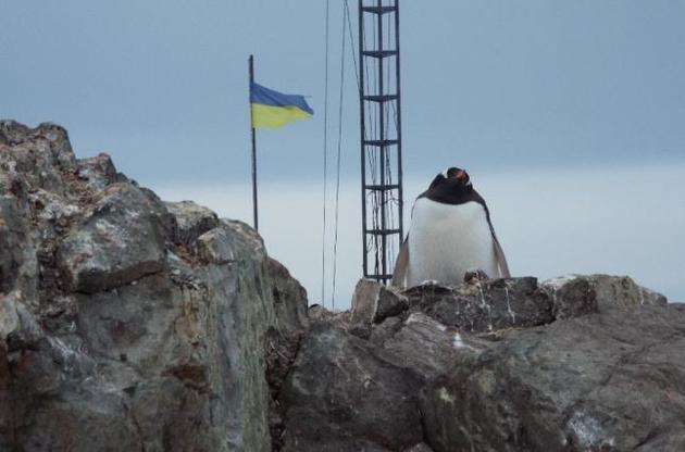 Евгений Дикий: "На примере антарктической станции продемонстрировать, что станет с Украиной, если перестать воровать"