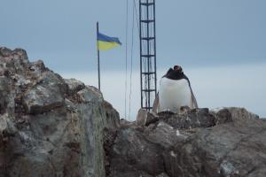 Евгений Дикий: "На примере антарктической станции продемонстрировать, что станет с Украиной, если перестать воровать"