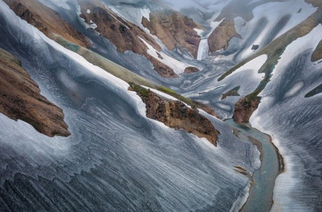 Вчені попереджають про можливе зникнення дикої природи
