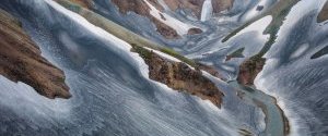 Ученые заявили о возможности полного исчезновения дикой природы