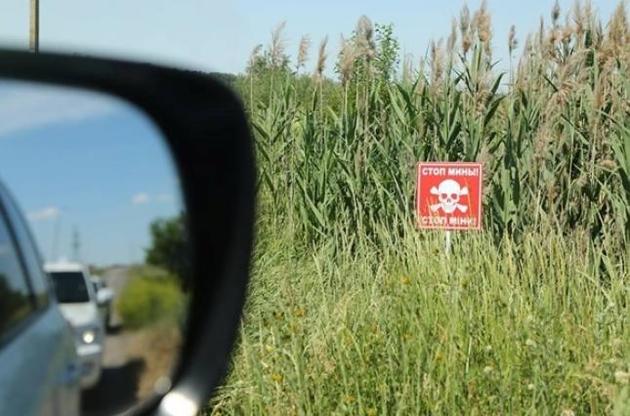 Средства будут направлены Красному Кресту на проект по разминированию