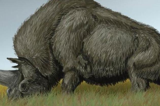 &quot;Сибирские единороги&quot; вымерли из-за изменений климата