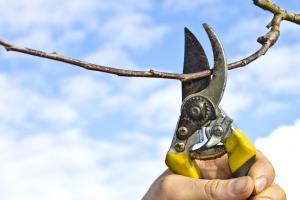 Для кого господдержка?