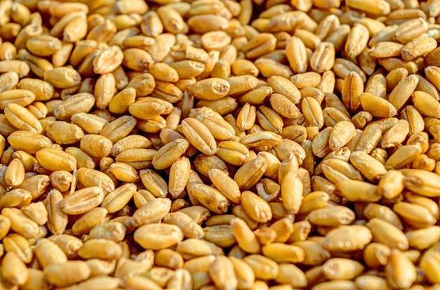 "Аграрный фонд" потерял более 4 тысяч тонн зерна и продуктов переработки