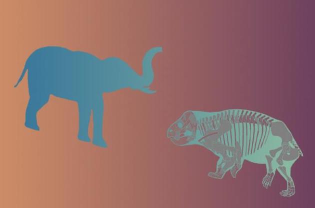 Размеры древнего животного можно было сравнить с размерами слона