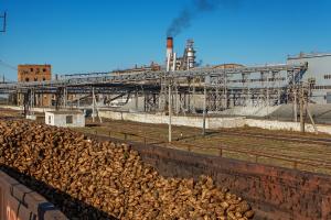 Шагренева шкіра ринку цукру