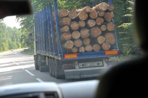 Возможности неопротекционизма