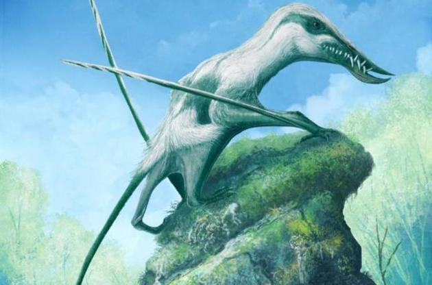 Палеонтологи відкрили новий вид птерозаврів юрського періоду