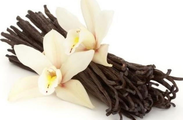 Люди почали використовувати ваніль ще 3600 років тому