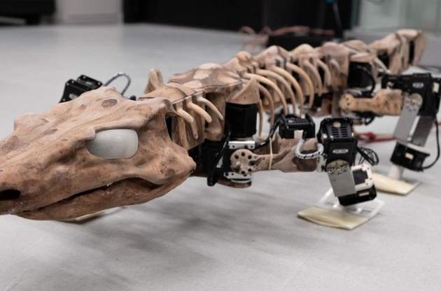 Ученые "оживили" скелет ящера возрастом 290 миллионов лет