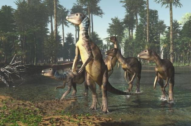 Палеонтологи обнаружили неизвестный вид динозавров