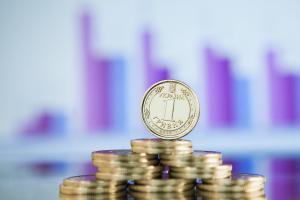 Цінова (не)стабільність і велика політика, або Чому монетарні режими бувають політично вразливими