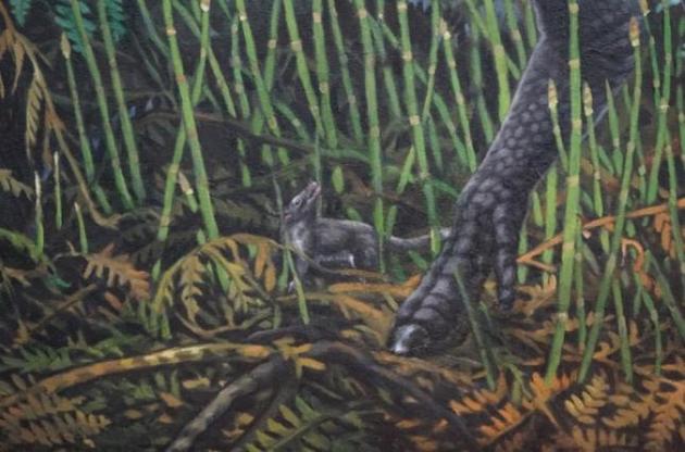 Розмірами давня тварина нагадувала мишу