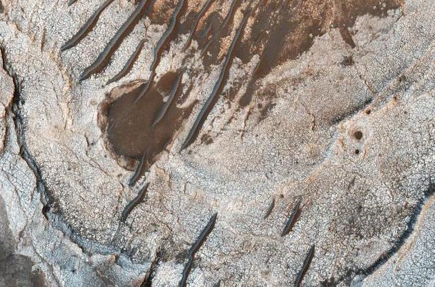 NASA показало новий знімок поверхні Марса