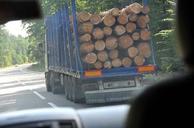 Україна замість мораторію на експорт лісу повинна прийняти пакет законодавчих актів — експерт
