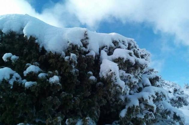 В районі сходження лавини знаходилися шість людей