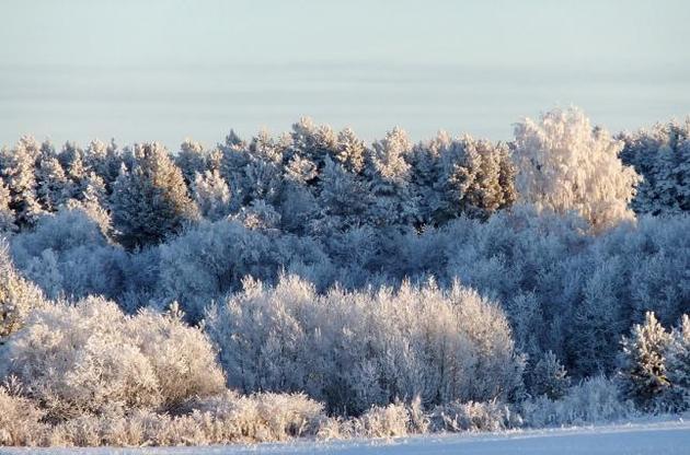 На выходные будет солнечно