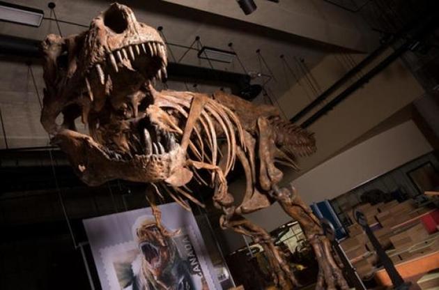 Скелет тиранозавра з Канади виявився найбільшим відомим на даний момент