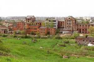 Максим Нефьодов: "Большая приватизация — это большая проблема"