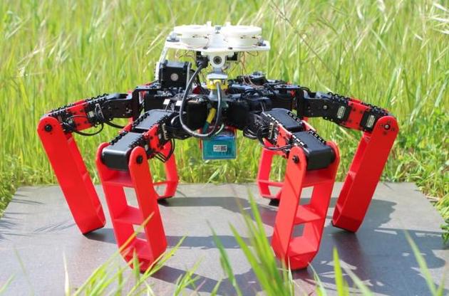 Ученые создали роботов, которые ориентируются подобно пустынным муравьям