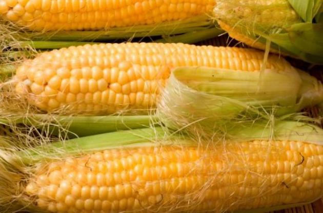 Украина в четыре раза увеличила экспорт кукурузы в ЕС