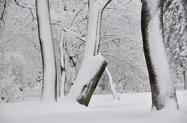 ГСЧС предупредила о снеголавинной опасности в Прикарпатье и Закарпатье