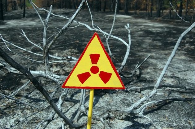 Лесной пожар в Чернобыльской зоне ликвидирован