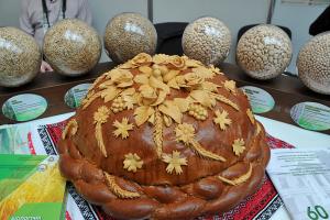 Агропрогноз-2019: чого чекати агропрому України