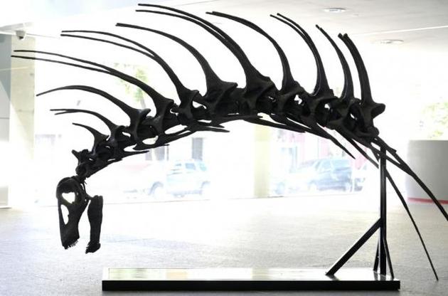 Палеонтологи обнаружили в Патагонии новый вид динозавров