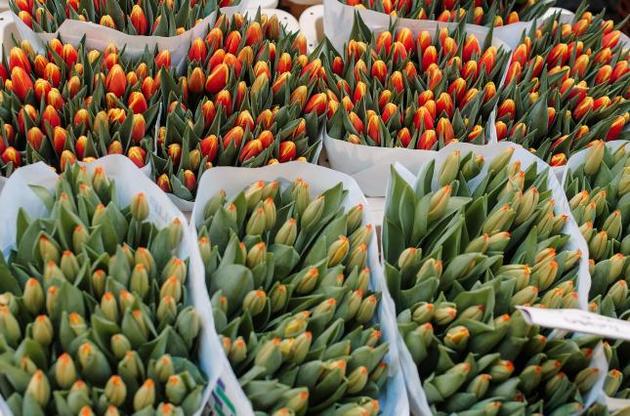 Украина импортировала цветов на семь миллионов долларов